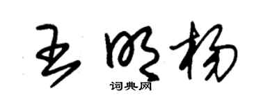 朱锡荣王明杨草书个性签名怎么写