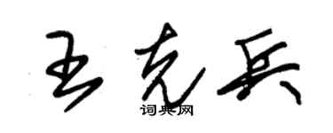 朱锡荣王克兵草书个性签名怎么写