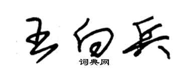 朱锡荣王向兵草书个性签名怎么写