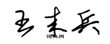 朱锡荣王来兵草书个性签名怎么写