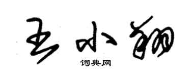 朱锡荣王小翔草书个性签名怎么写