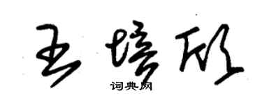 朱锡荣王培欣草书个性签名怎么写