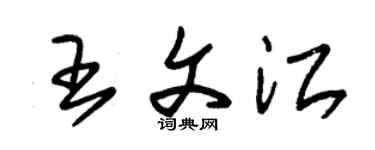 朱锡荣王文江草书个性签名怎么写