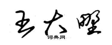 朱锡荣王大野草书个性签名怎么写