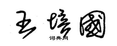 朱锡荣王培国草书个性签名怎么写