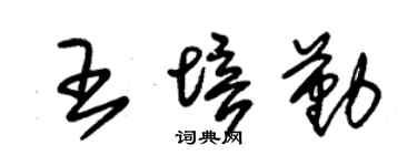 朱锡荣王培勤草书个性签名怎么写