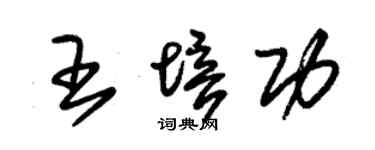 朱锡荣王培功草书个性签名怎么写