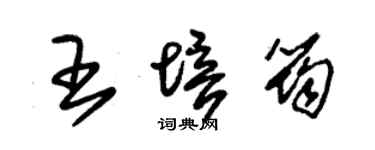 朱锡荣王培筠草书个性签名怎么写