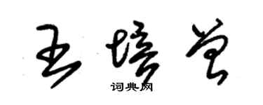 朱锡荣王培曾草书个性签名怎么写