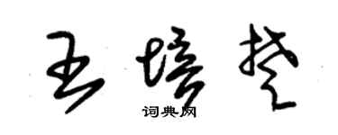 朱锡荣王培楚草书个性签名怎么写