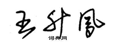 朱锡荣王升凤草书个性签名怎么写