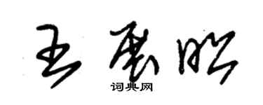 朱锡荣王展昭草书个性签名怎么写