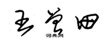 朱锡荣王曾田草书个性签名怎么写