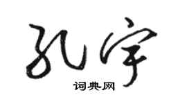 骆恒光孔宇草书个性签名怎么写