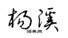 曾庆福杨溪草书个性签名怎么写