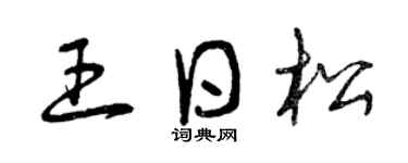 曾庆福王日松草书个性签名怎么写