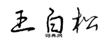 曾庆福王白松草书个性签名怎么写