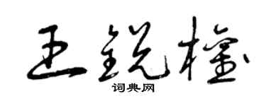 曾庆福王锐权草书个性签名怎么写