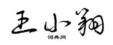 曾庆福王小翔草书个性签名怎么写