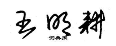 朱锡荣王明耕草书个性签名怎么写