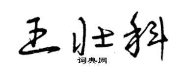 曾庆福王壮科草书个性签名怎么写