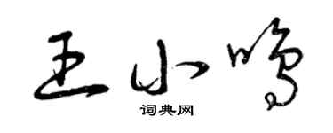 曾庆福王小鸣草书个性签名怎么写