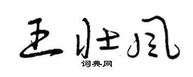 曾庆福王壮风草书个性签名怎么写