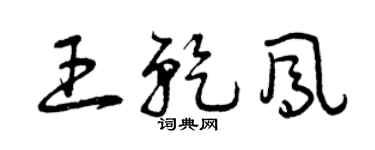 曾庆福王乾凤草书个性签名怎么写