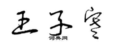 曾庆福王子寒草书个性签名怎么写
