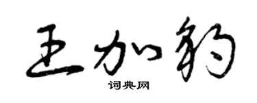 曾庆福王加豹草书个性签名怎么写