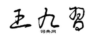 曾庆福王九习草书个性签名怎么写