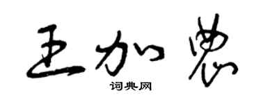 曾庆福王加农草书个性签名怎么写