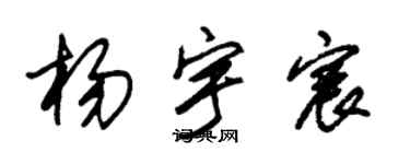 朱锡荣杨宇宸草书个性签名怎么写