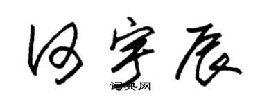 朱锡荣何宇辰草书个性签名怎么写