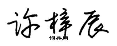 朱锡荣许梓辰草书个性签名怎么写