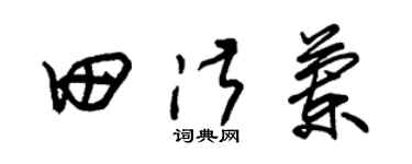 朱锡荣田淑兰草书个性签名怎么写