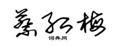 朱锡荣蔡红梅草书个性签名怎么写