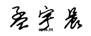 朱锡荣孟宇晨草书个性签名怎么写