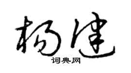 曾庆福杨健草书个性签名怎么写