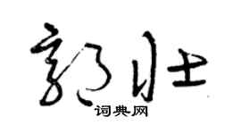 曾庆福郭壮草书个性签名怎么写