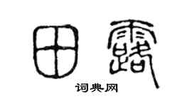 陈声远田露篆书个性签名怎么写