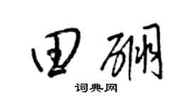 梁锦英田硼草书个性签名怎么写