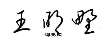 梁锦英王明野草书个性签名怎么写