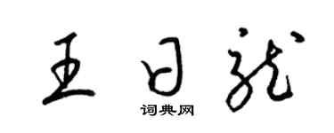 梁锦英王日龙草书个性签名怎么写