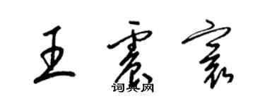 梁锦英王震寰草书个性签名怎么写