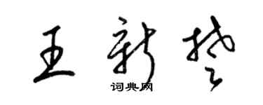 梁锦英王新楚草书个性签名怎么写