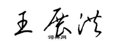 梁锦英王展洪草书个性签名怎么写