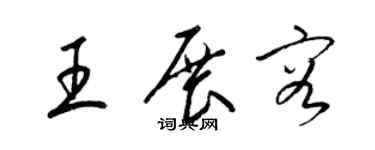 梁锦英王展容草书个性签名怎么写