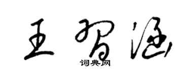 梁锦英王习涵草书个性签名怎么写