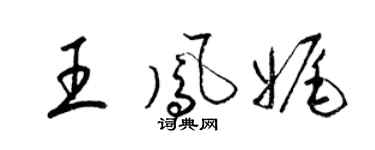 梁锦英王凤娓草书个性签名怎么写